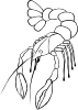 Crawfish (b And W) Clip Art