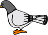 Pigeon 2 Clip Art