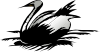 Cigno Clip Art