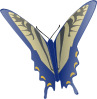 Butterfly Clip Art