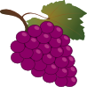 Grape Clip Art