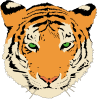 Tiger Clip Art