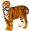 Tigre04 Clip Art