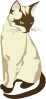 Gatto Cat 4 Clip Art