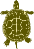 Turtle Clip Art