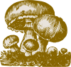 Mushrooms Clip Art
