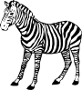 Zebra Clip Art