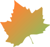 Kattekrab Plane Tree Autumn Leaf Clip Art