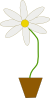 Flower In A Pot Clip Art