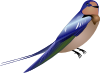 Bird Clip Art