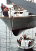 Sailors Man  Monkey Line Image