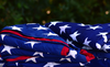 Ceremony For Disposing Of Tattered Or Worn Out Flags Image