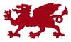 Decoration Welsh Dragon Mirror Red Large Image