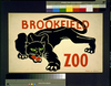 Black Tiger Image