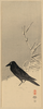 Blackbird Near Reeds In Snow. Image