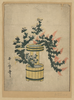 Potted Autumn Grasses And Rikka. Image