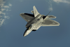 F Raptor Edit Image