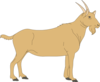 Brown Goat Clip Art