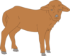 Furry Calf Clip Art