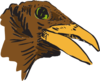 Brown Bird Head Art Clip Art