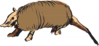 Armadillo Clip Art