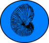 Blue Shell Clip Art