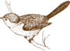 Brown Bird On Branch Clip Art