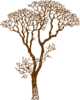 Brown Tree Clip Art