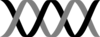 Bw Dna Clip Art