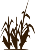 Darkbrowncorn Clip Art