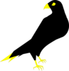 Falcon Clip Art