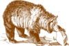 Grizzly Clip Art