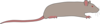 Rat Clip Art