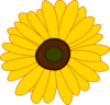 Sunflower Clip Art